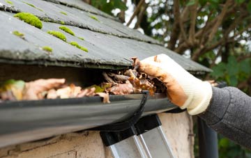 gutter cleaning Holgate, North Yorkshire