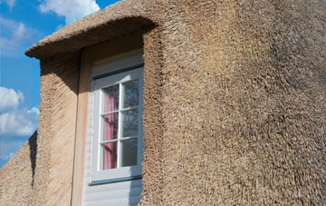 Holgate thatch roof disadvantages