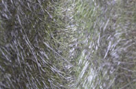 Holgate fibreglass roof work